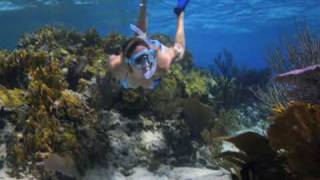 Snorkeling Southwest Reef New Providence Bahamas [upl. by Groeg]