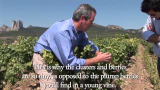 The History of Rioja [upl. by Akenor]