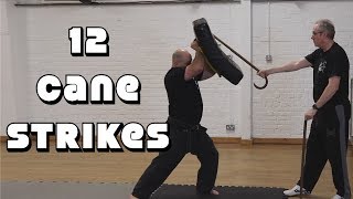 12 Cane Strikes Cane and wheelchair Walking cane self defense [upl. by Alit]