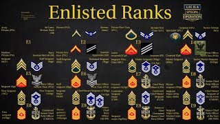 US Military All Branches ENLISTED Ranks Explained [upl. by Adaynek]