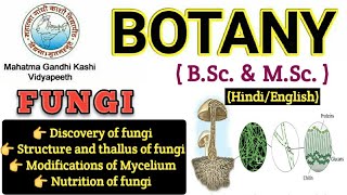 General Characteristics of FungiMyceliumHyphae Modification of MyceliumBSc 1st year BotanyFungi [upl. by Joceline]