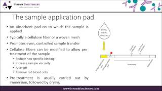 Lateral Flow Webinar A Guide to Lateral Flow Immunoassay Development [upl. by Ettennaej273]