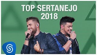 Top Lançamentos Sertanejo 2019  Os Melhores Clipes [upl. by Somar]