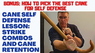 Cane Self Defense Against Violent Assault 2 [upl. by Adnhoj]