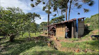 A TRANQUILIDADE DAS MONTANHAS DA MANTIQUEIRA [upl. by Romelle]