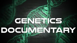 Genetics Documentary  The Best Documentary Ever [upl. by Phail]