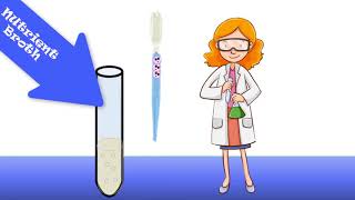 INOCULATIONS how to make a cell culture in liquid medium or on an agar plate [upl. by Gabrielson]