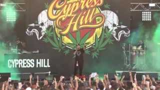 Cypress Hill Insane in the Membrane Live 2013 [upl. by Atidnan294]