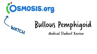 Bullous Pemphigoid Osmosis Study Video [upl. by Nevaed83]