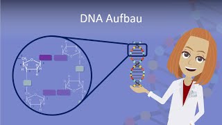 DNA Aufbau leicht erklärt [upl. by Jowett]