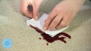 How to Remove Any Carpet Stain  Martha Stewart [upl. by Nesiaj]