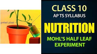 Nutrition 10th Lesson 1  Mohls Half Leaf Experiment AP amp TS syllabus  Class 10th Biology ch1 [upl. by Nayra]