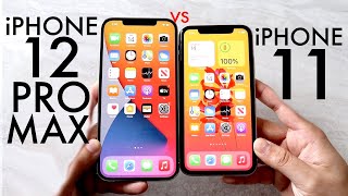 iPhone 12 Pro Max Vs iPhone 11 Comparison Review [upl. by Theurich]