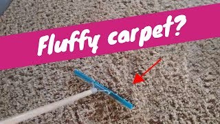 How to Fluff Carpet  Rendalls Cleaning [upl. by Otreblada]