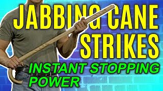 Walking Cane Strikes to Stop Attacker  Self Defense Moves  FightFast [upl. by Naga]