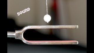 Experiment on sound  Physics [upl. by Naillig293]